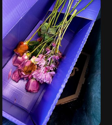 ProFlowers by null