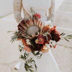 Beet And Yarrow - Trailing King  Protea bouquet
