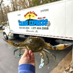Crabs Express
