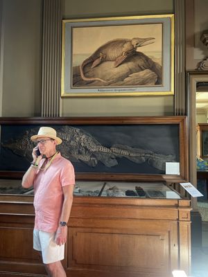 Teylers Museum by null