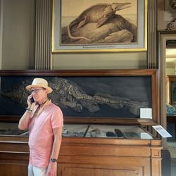 Teylers Museum - Meandering thru the museum