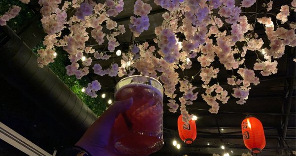 Sushi by Bou - Jersey City NJ @ Ani Ramen by null