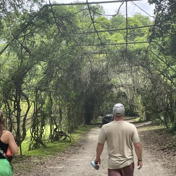 Jungle Gardens - Bridge - Botanical Gardens Near Me - Avery Island, Louisiana