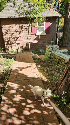 Saddleback Inn by null