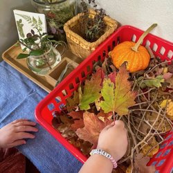 Adobe Montessori