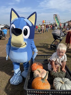 Dehns Pumpkins by null