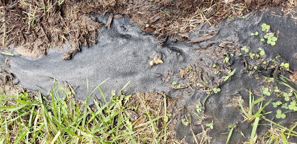 Slide of Walker's Plumbing