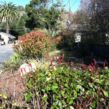 Cambria Palms Motel - Outdoor area. - Hotels Near Me - Cambria, California