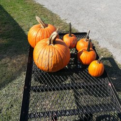 Barn'n Bunk Farm Market