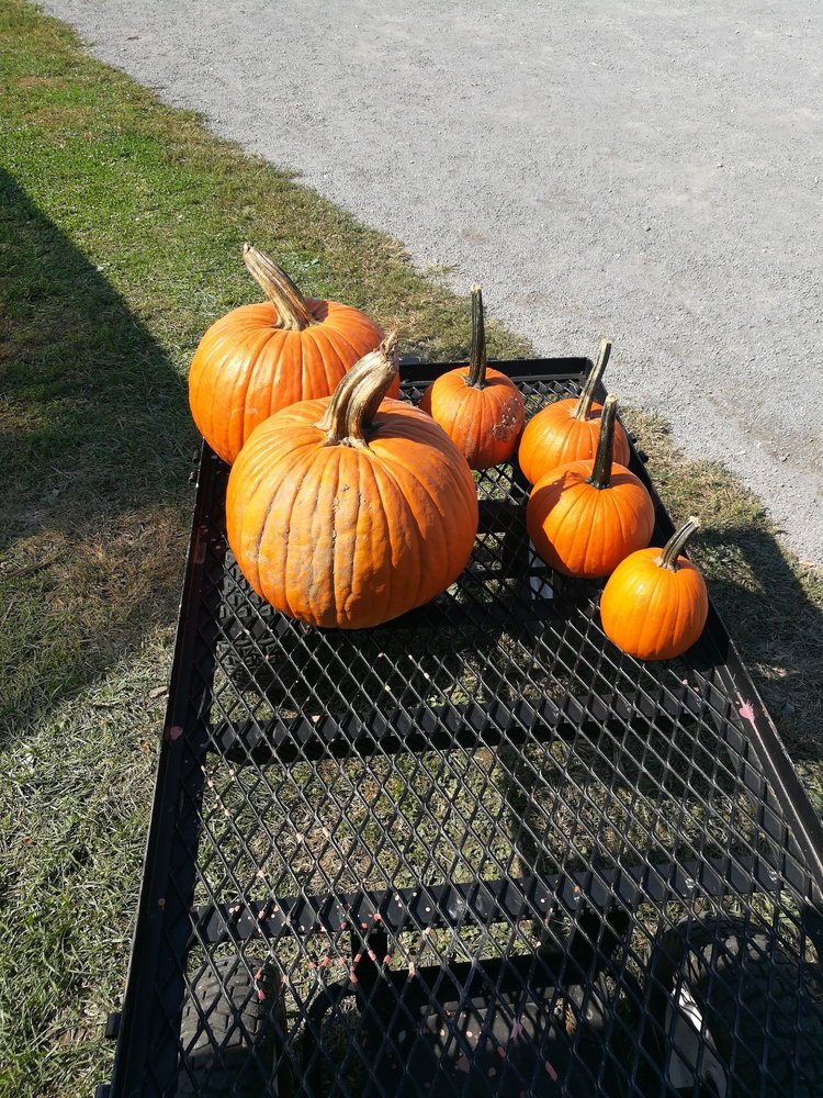 BARN’N BUNK FARM MARKET Updated October 2024 3677 Wayne Madison Rd