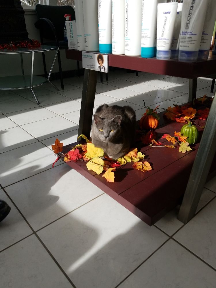 RMP HAIR AND COMPANY Updated August 2024 443 Bernardston Rd