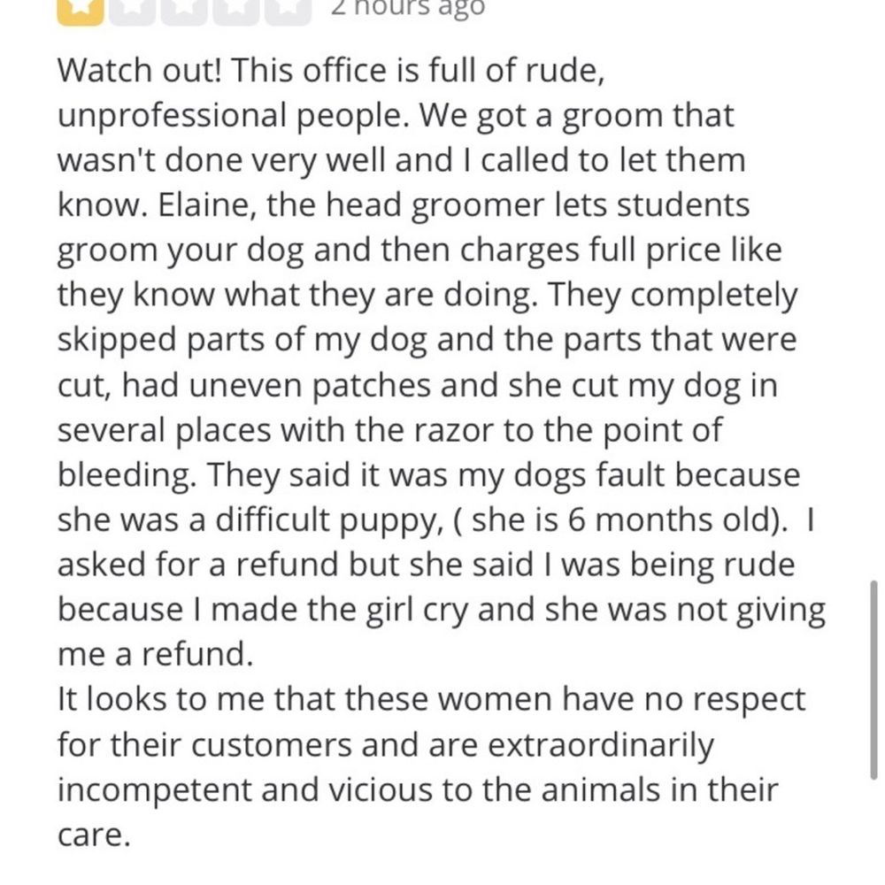 Jackson Veterinary Hospital - Original review by Mary P. - Veterinarians Near Me - St Augustine, Florida Jackson Veterinary Hospital - Original review by Mary P. - Veterinarians Near Me - St Augustine, Florida
