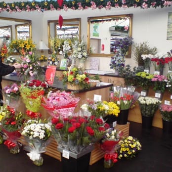 Poplar Tree - Interflora Florist at Poplar Tree Garden Centre Durham - Nurseries & Gardening Near Me - Durham, DUR