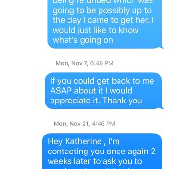 Puppy Love Doxies - Here is where she starts to ignore me and my text messages. This way she doesn't have to refund the deposit - Pet Services Near Me Puppy Love Doxies - Here is where she starts to ignore me and my text messages. This way she doesn't have to refund the deposit - Pet Services Near Me