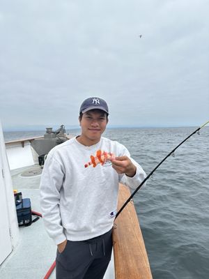 Davey's Locker Whale Watching & Sportfishing by null