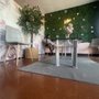 Photo of Harmony Rose Wellness