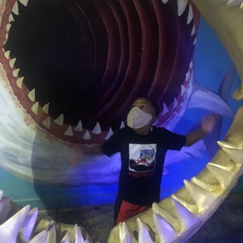 Austin Aquarium - Aquariums Near Me - Austin, Texas