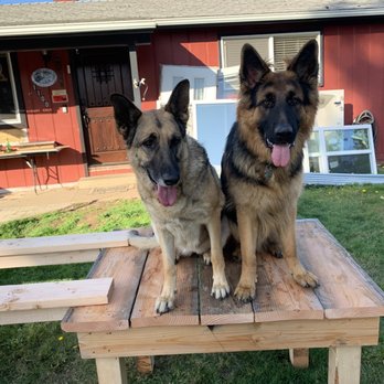 Huffman K9 Obedience - The training not only helped the puppy learn basic obedience but it also worked on training my other older German Shepard named Karma. - Pet Training Near Me