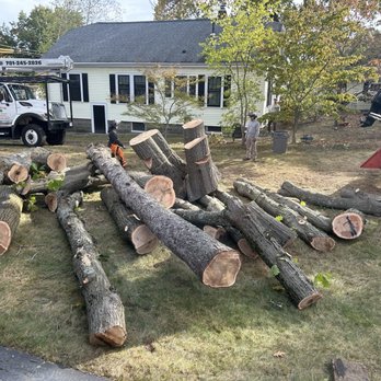 Arbor Tree Service - All the trunks taken down - Tree Services Near Me - Georgetown, Massachusetts
