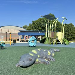 Washington Park - Salamander on the playground