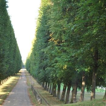 Château de Versailleo - What a nice place to bike! - Landmarks & Historical Buildings Near Me - Versailles, 78