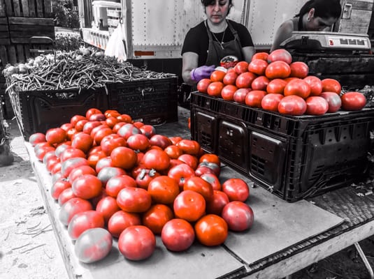 Jackson Heights Greenmarket by null