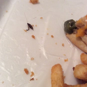 City Pizza - INSECTS IN THEIR BURGERS! - Pizza Near Me - Holyoke, Massachusetts