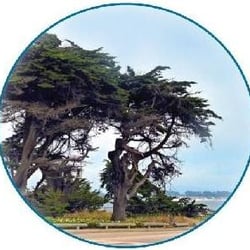 Santa Cruz Oral & Maxillofacial Surgery