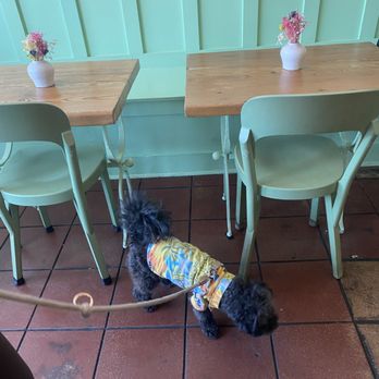Kitchen Mouse Cafe - Brax - Vegan Near Me - Los Angeles, California
