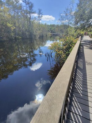 Big Cypress National Preserve by null