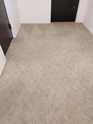 Carpet Cleaning - Schedule a carpet cleaning Carpet Cleaning - Schedule a carpet cleaning