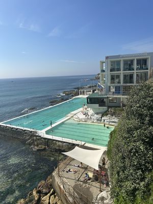 Bondi Icebergs Swimming CLUB by null