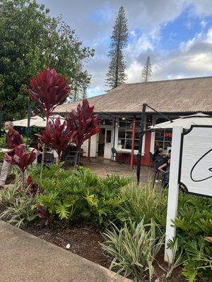 Ganotisi's Pacific Rim Cuisine by null