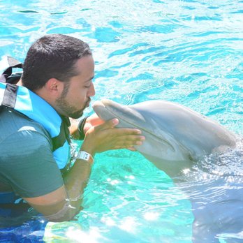 Dolphin Discovery - Aquariums Near Me - Cozumel, ROO Dolphin Discovery - Aquariums Near Me - Cozumel, ROO