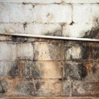 Water Damage Specialists - Damage Restoration Near Me Water Damage Specialists - Damage Restoration Near Me