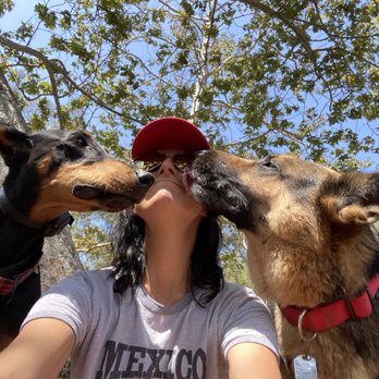Active Dogzz - Pet Training Near Me - Ventura, California Active Dogzz - Pet Training Near Me - Ventura, California