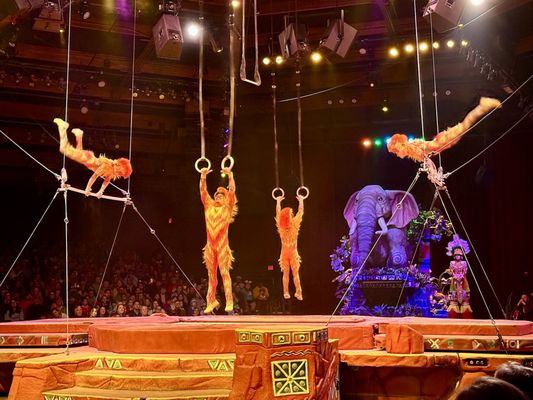 Festival of the Lion King by null