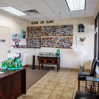 bath and bark grooming