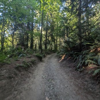 Bridle Trails State Park - Parks Near Me - Kirkland, Washington