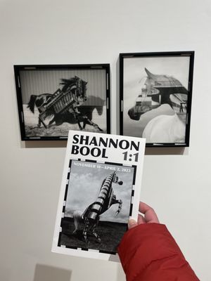 Museum of Contemporary Photography by null