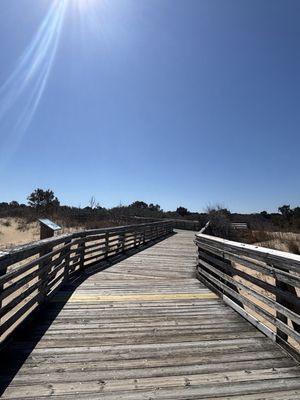 First Landing State Park by null