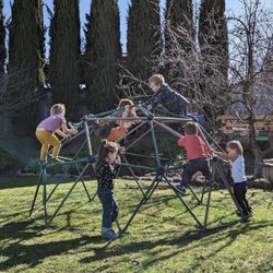 The Olive Branch Community School