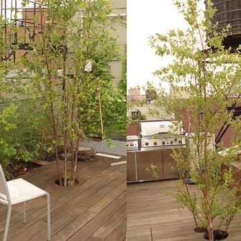Lifesource Irrigation - Deck with Trees - Irrigation Near Me - New York, New York
