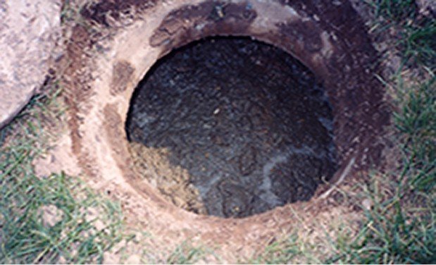 Slide of The Drain Man