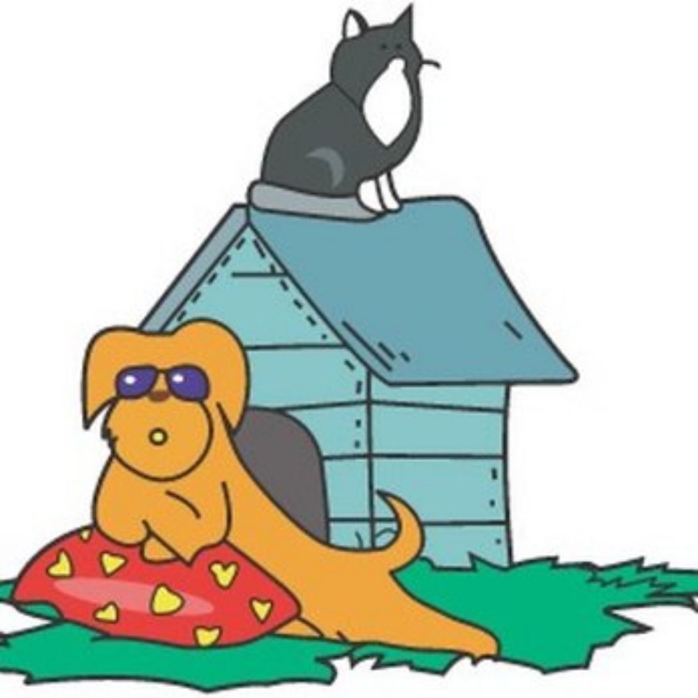 Shasta's Dog House Pet Care Services - pet boarding facility in Fort Collins, CO