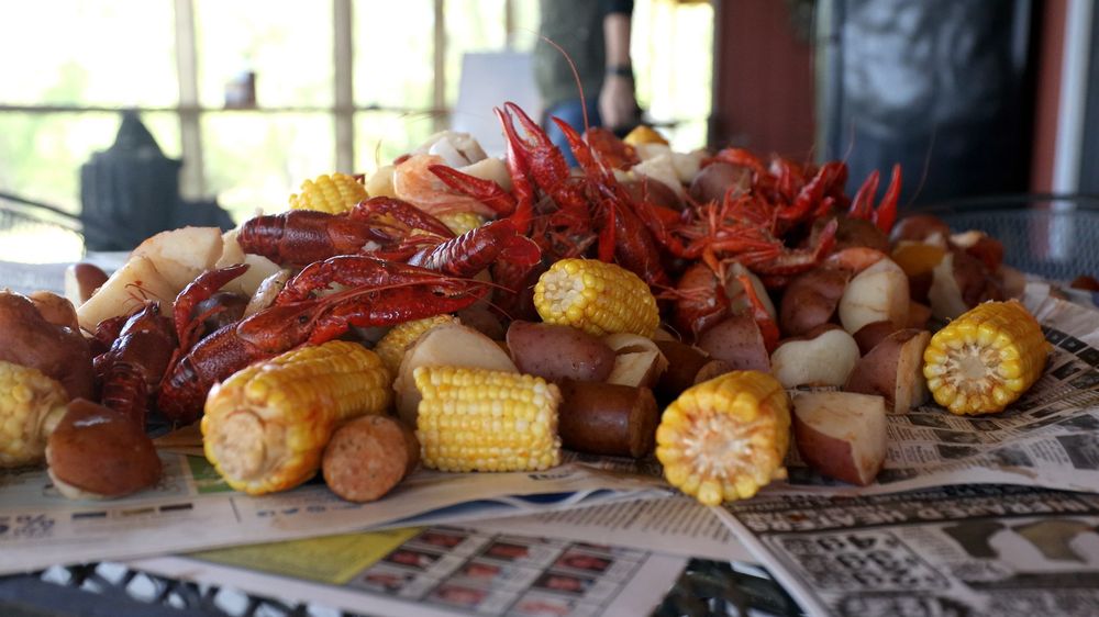 NLN FARMS Updated April 2024 1460 Carrow Rd, Chocowinity, North