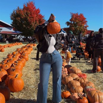Weed Orchards and Winery - Pumpkin Patch - Wineries Near Me - Marlboro, New York