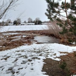 Anderson Park - Brook too high to make it across. 1/2023