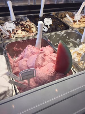 Miinot Gelato by null