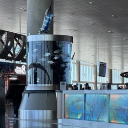 Southwest Airlines - Nice aquarium and decor
